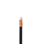 Coverage Elevated Organic Botanical Concealer no. 10 warm medium